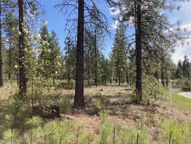 Property Photo: 1178 Fumi Cir WA 99141