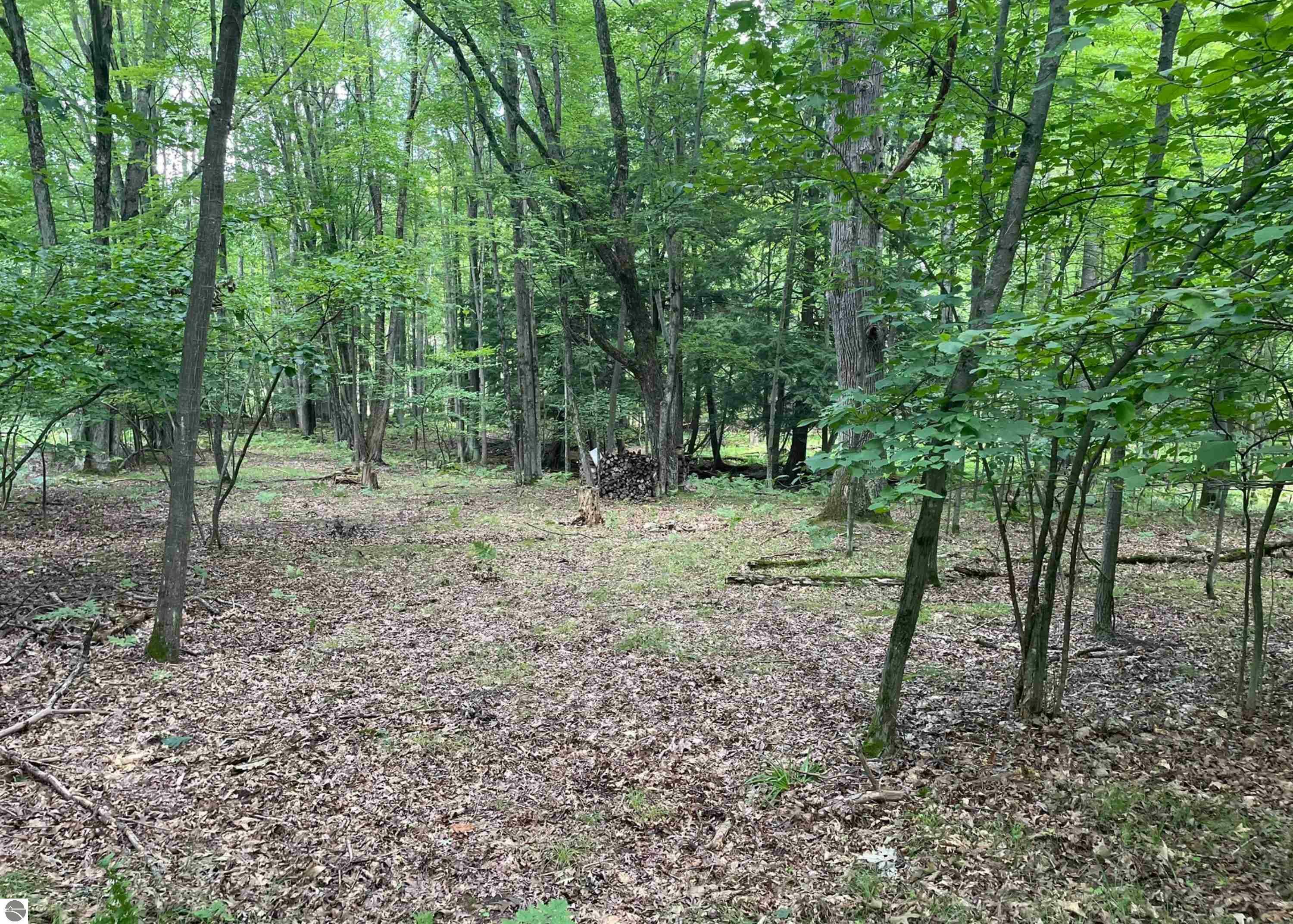 Property Photo: 791 Elkhorn Way MI 48622
