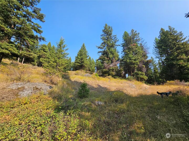 Property Photo:  0  Matts Road  WA 98844 