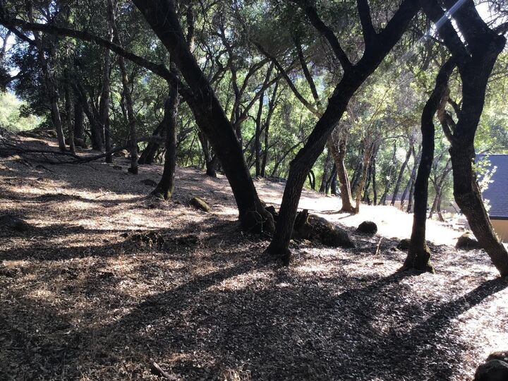 18169 Deer Run  Penn Valley CA 95946 photo