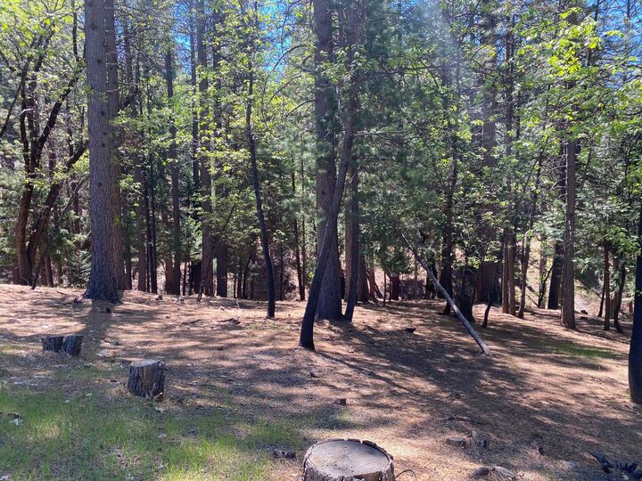 5701 Lupin Lane  Pollock Pines CA 95726 photo