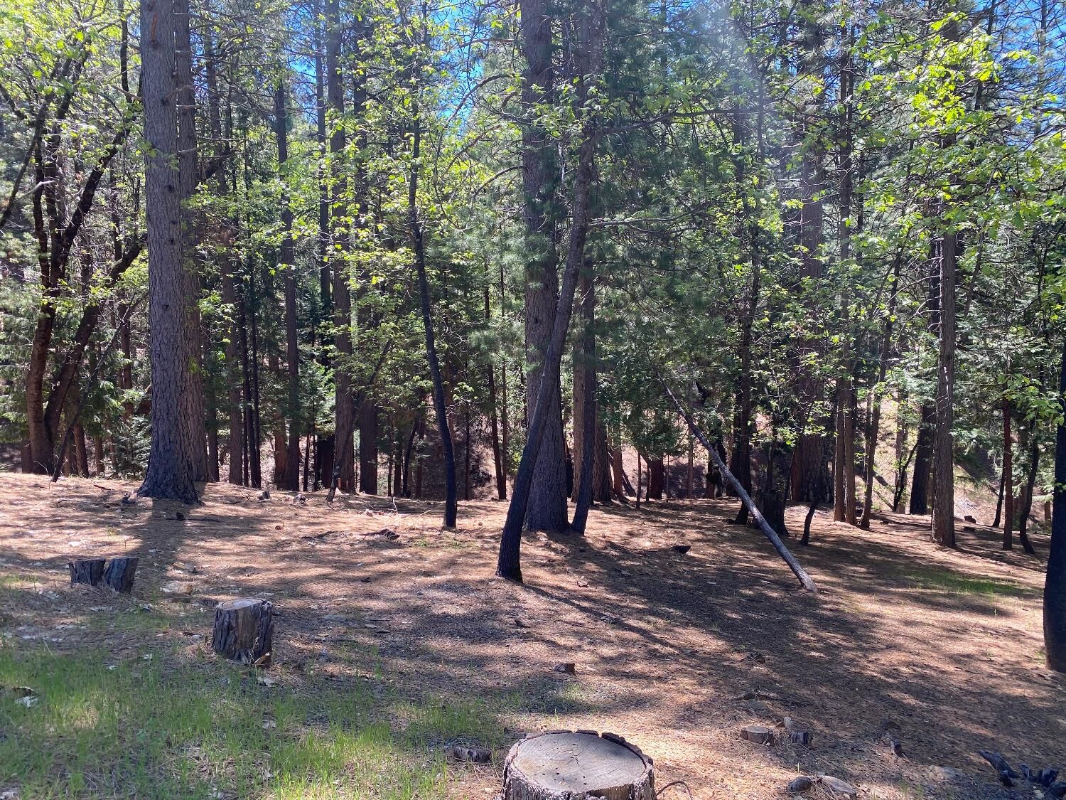 Property Photo: 5701 Lupin Lane CA 95726