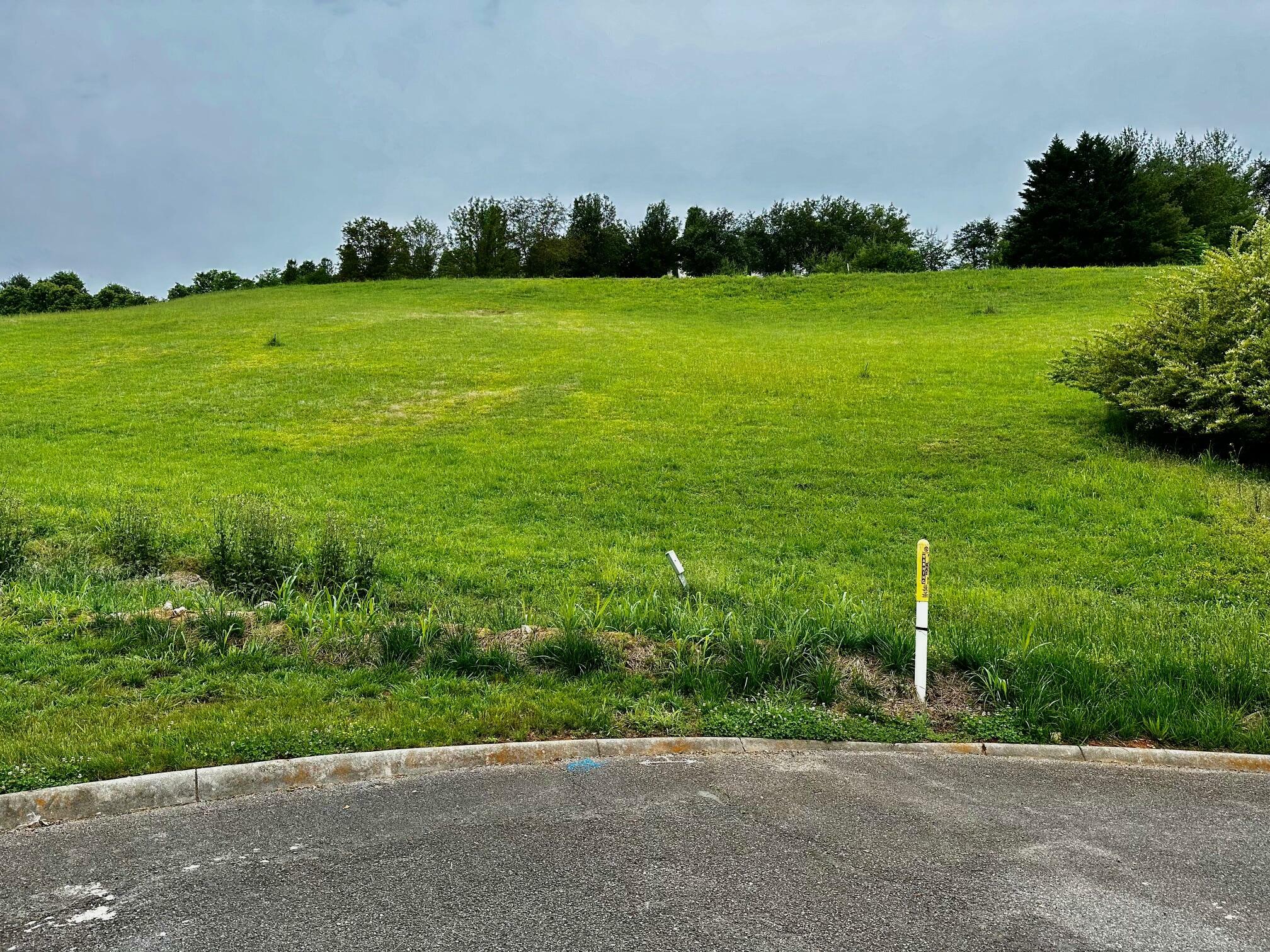 Property Photo:  Lot 25R Bentwood Dr Drive  TN 37764 