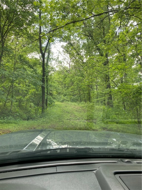 Etal Lane  Bella Vista AR 72714 photo