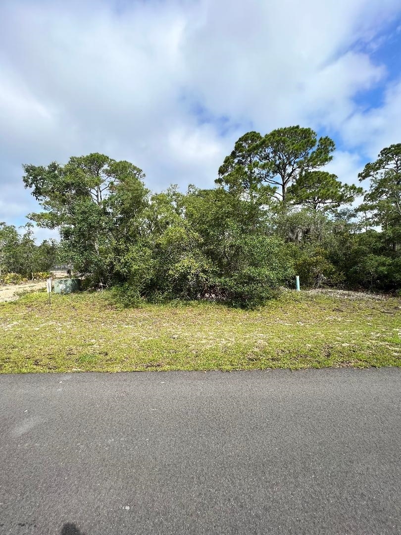 Property Photo:  Lot 32 Turtle Creek Lane  FL 32346 