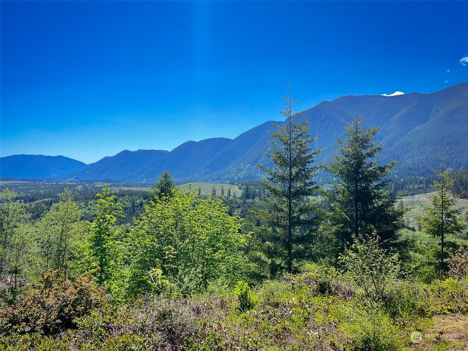 Property Photo:  445 Elkhorn Ridge Road  WA 98376 