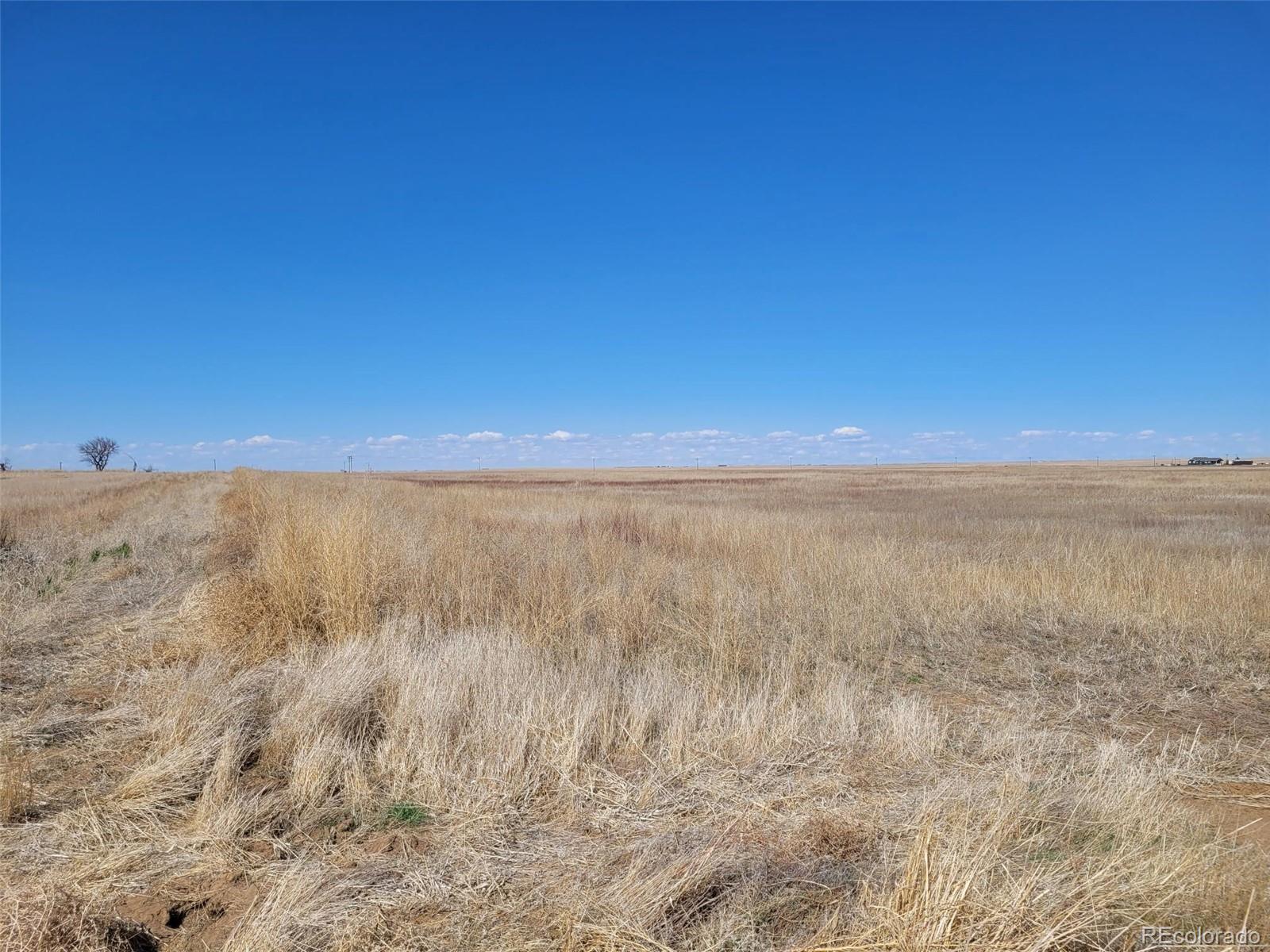 Vacant Land 38th Avenue (West Parcel)  Byers CO 80103 photo
