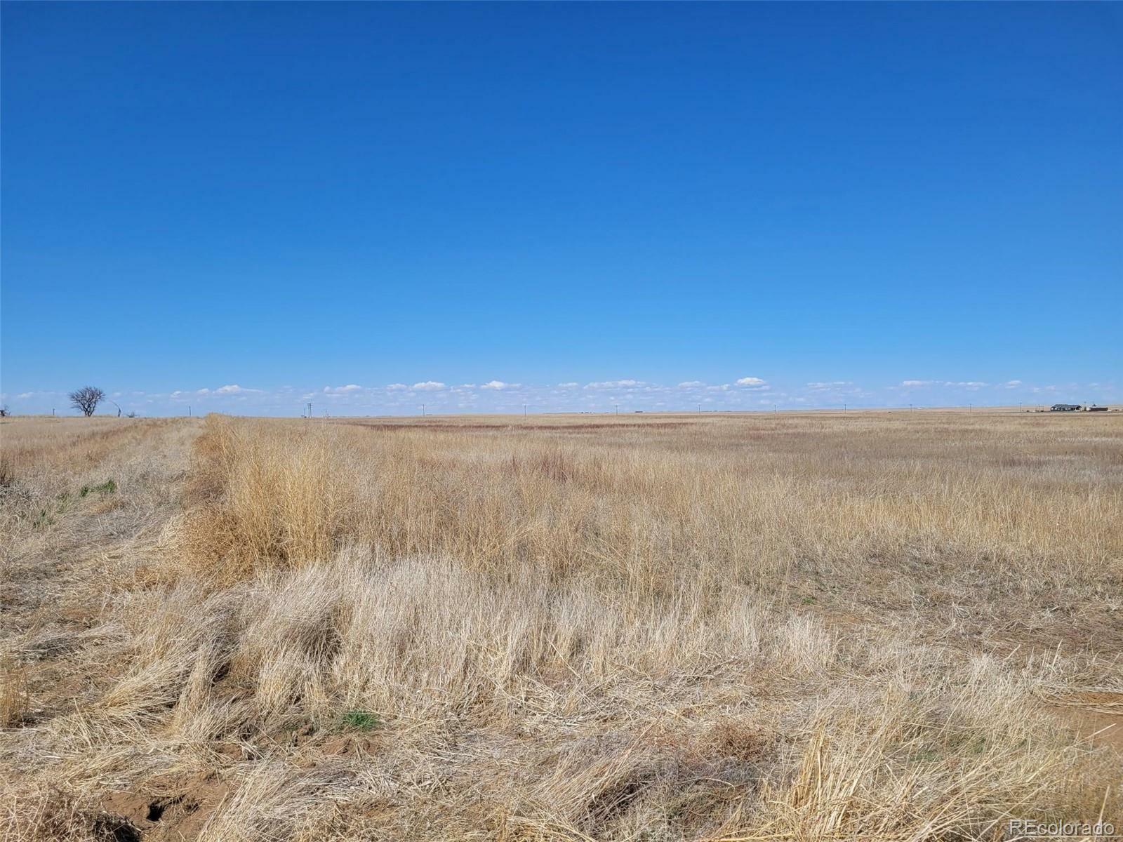 Property Photo:  Vacant Land 38th Avenue (West Parcel)  CO 80103 