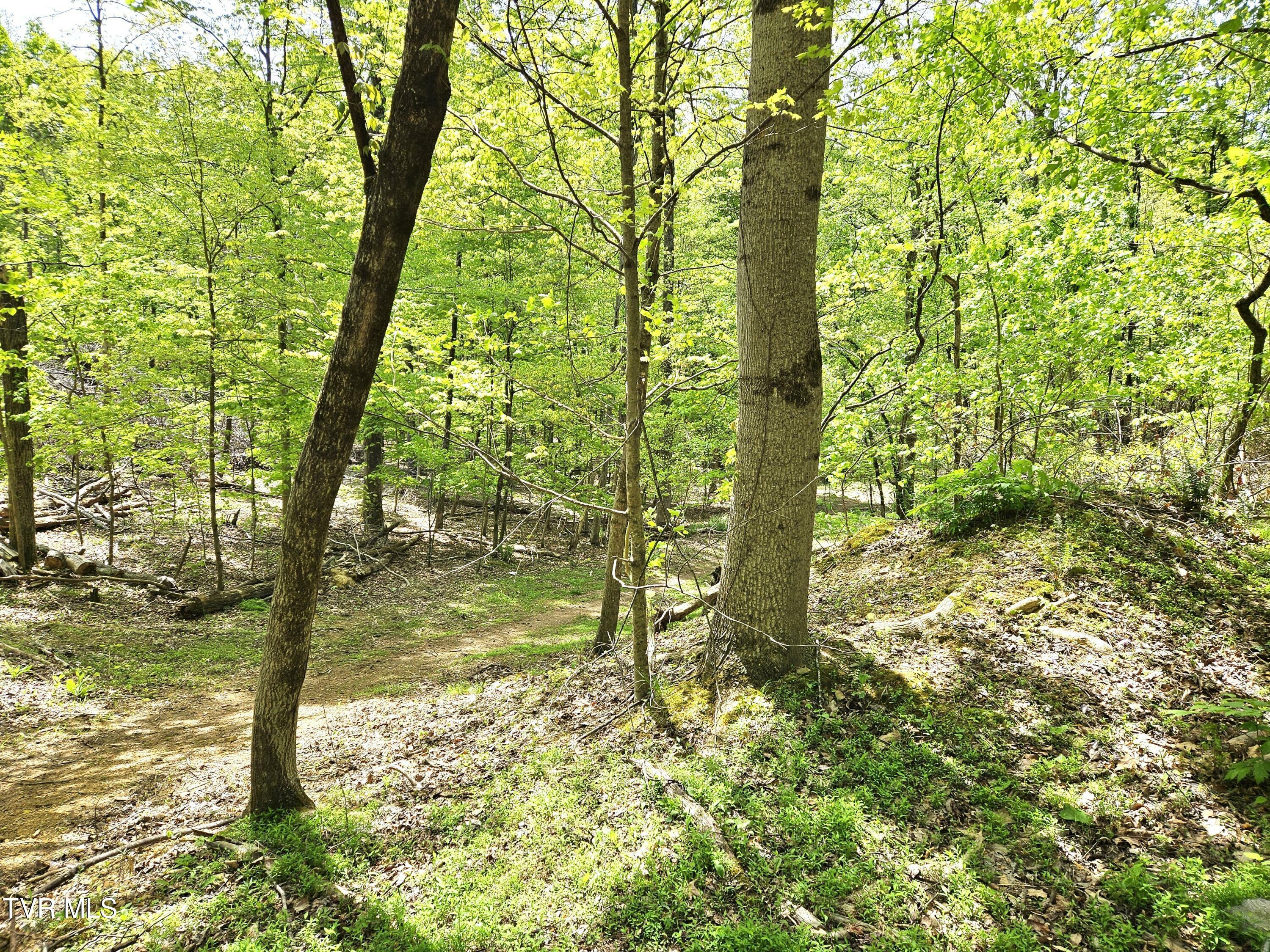 Property Photo:  00 Oak Grove Road  TN 37857 