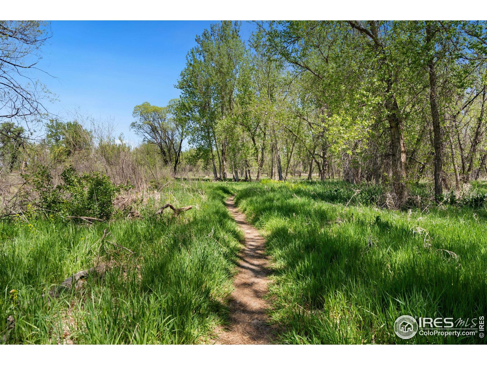 Property Photo: 605 Riverside Ct CO 80634