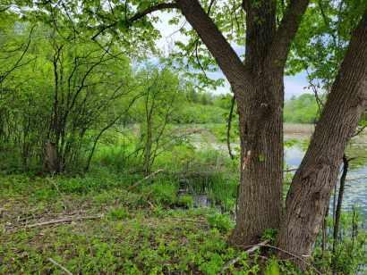 Property Photo: L16,17,18 Road L - WI 53066