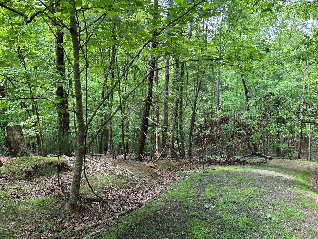 Property Photo: Lt 533 Laurel Drive GA 30540