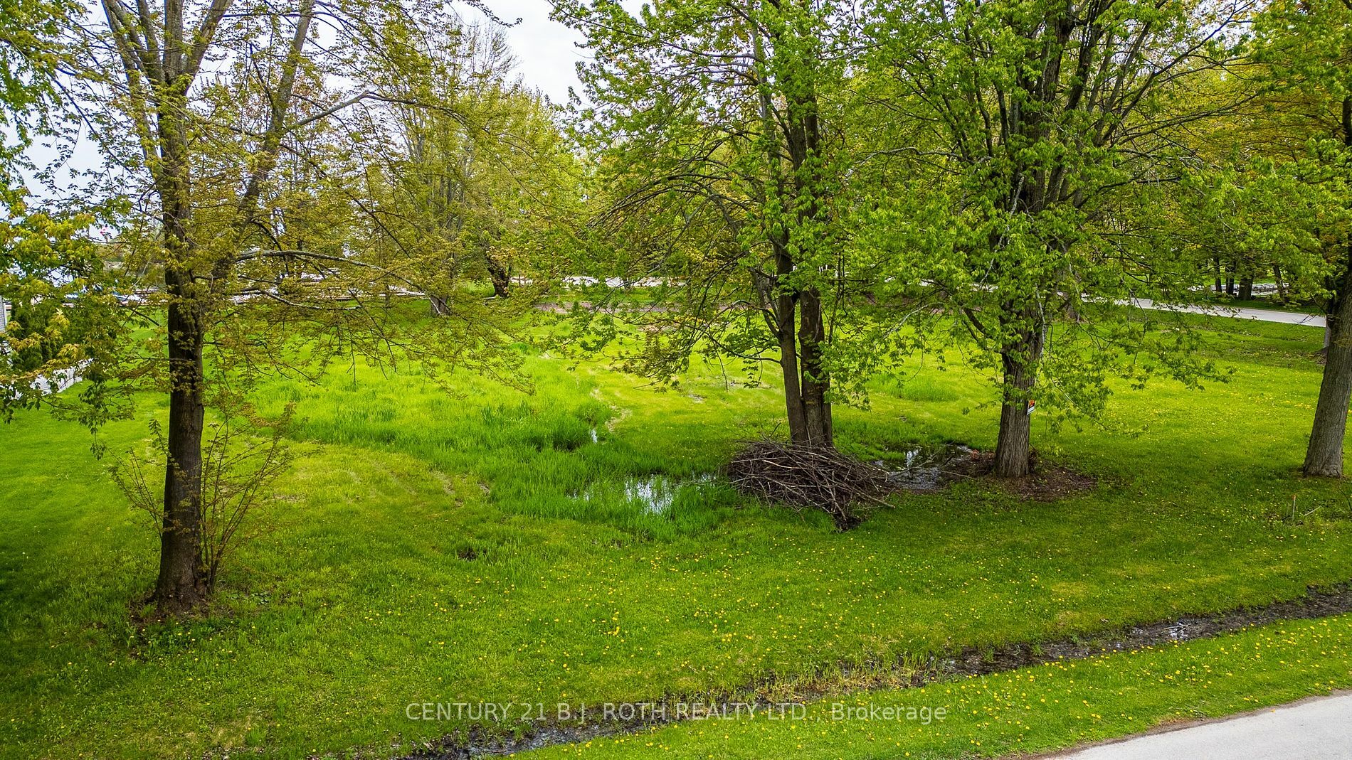 Photo de la propriété:  5 Fernwood Lane  ON L0K 1B0 