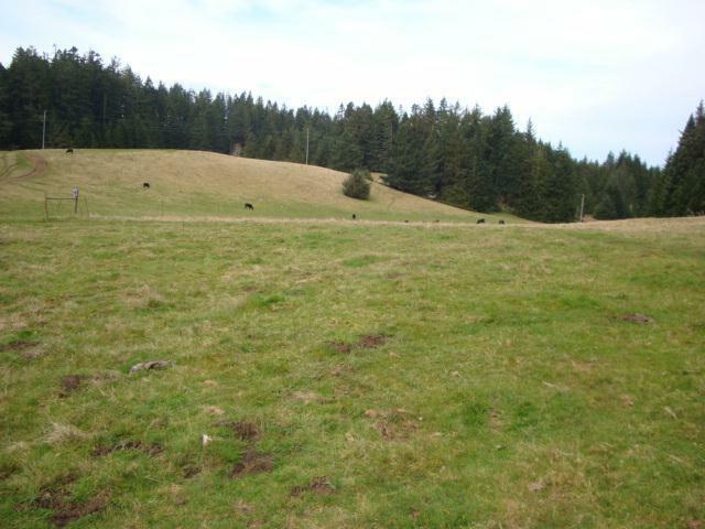 Property Photo: 0 Berta Road CA 95503