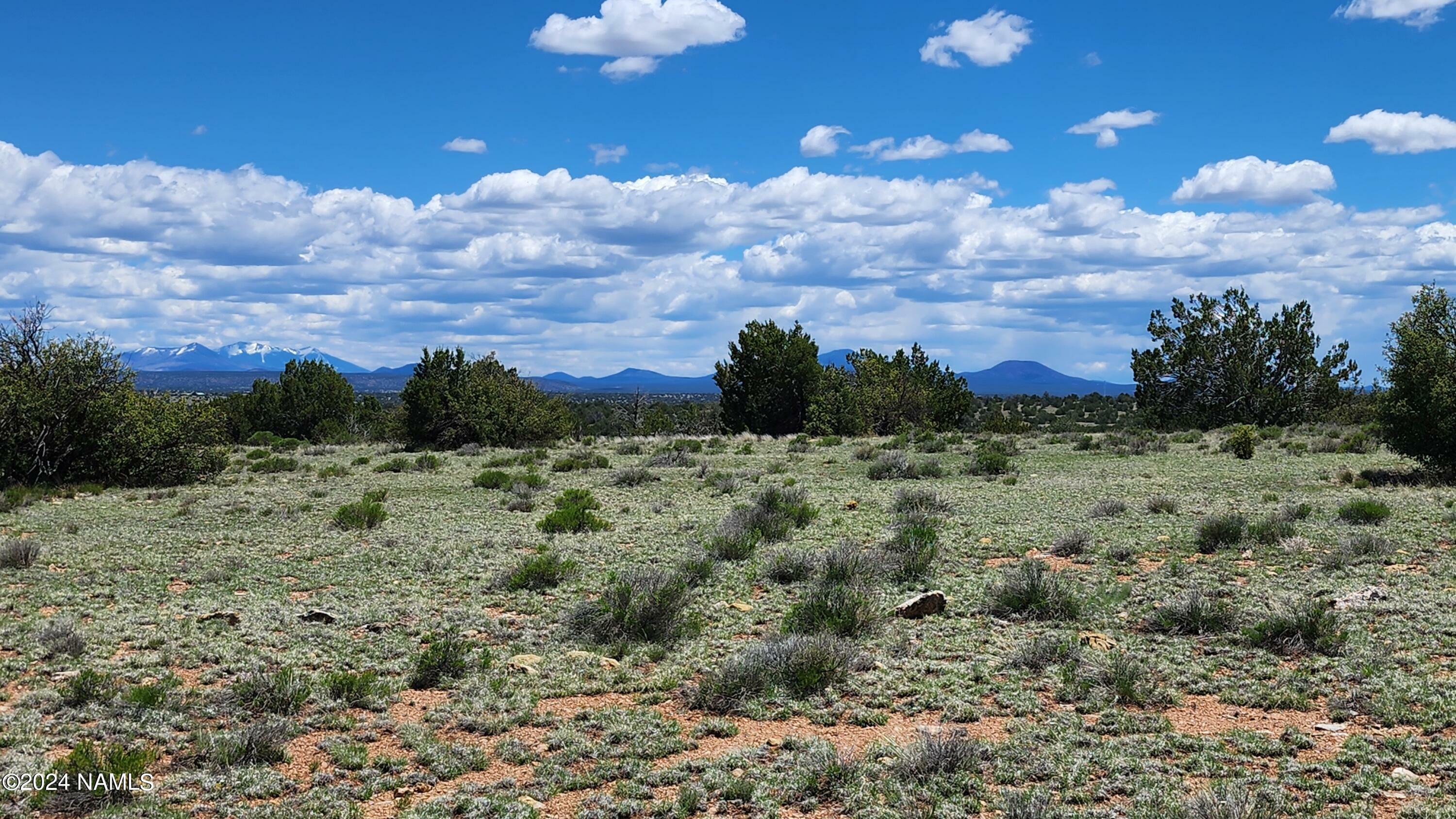 Property Photo:  12688 Pipecreek Loop  AZ 86046 