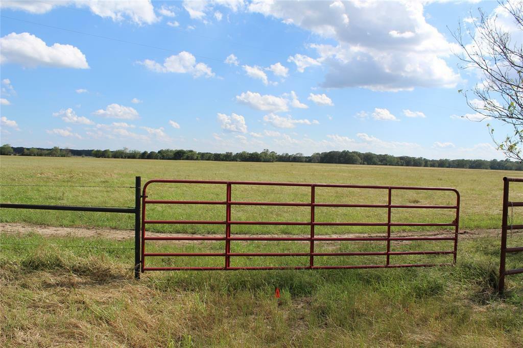 1512 Fm 1497  Paris TX 75462 photo