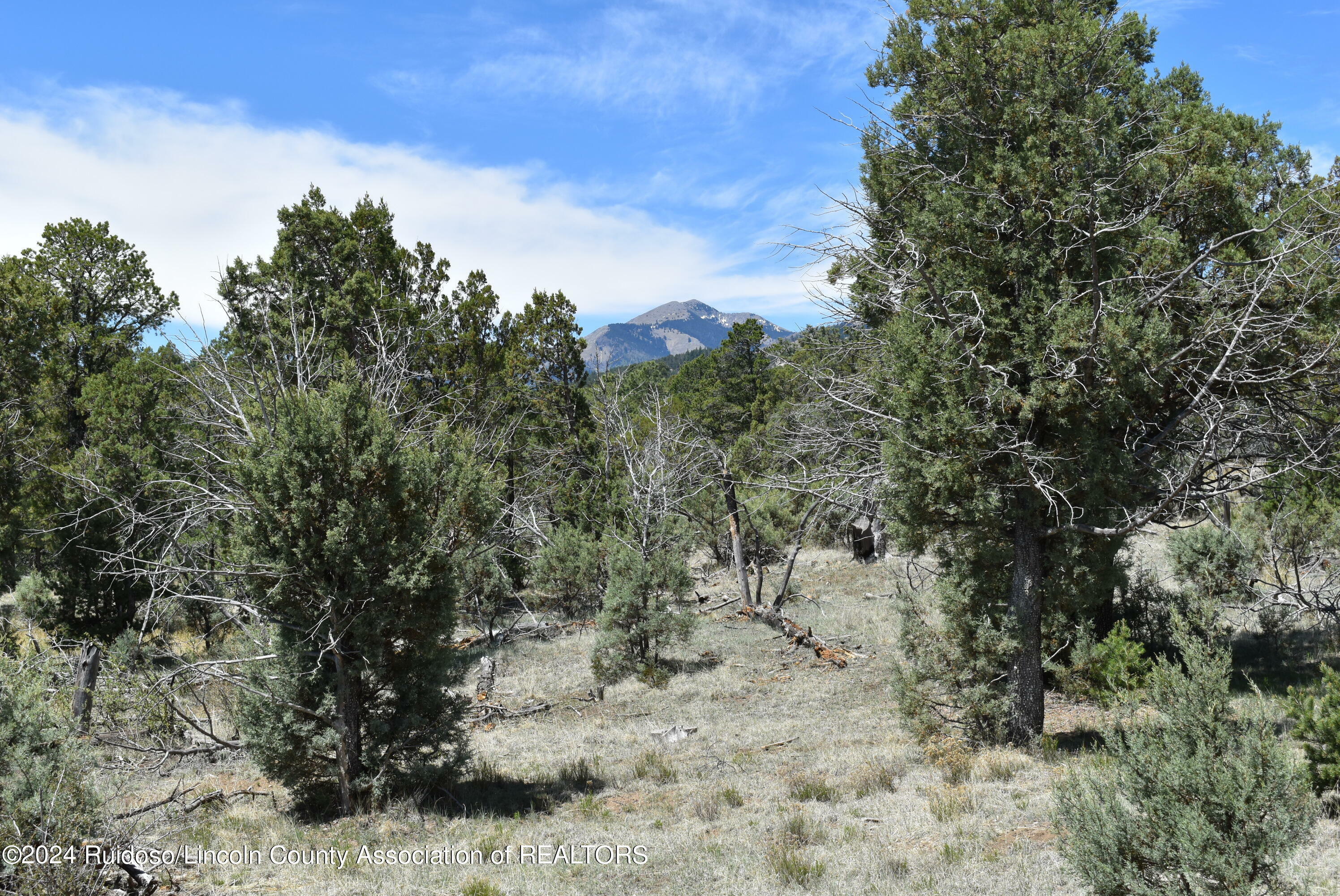 Property Photo:  Lots 1 & 3 Silver Fox Lane  NM 88312 