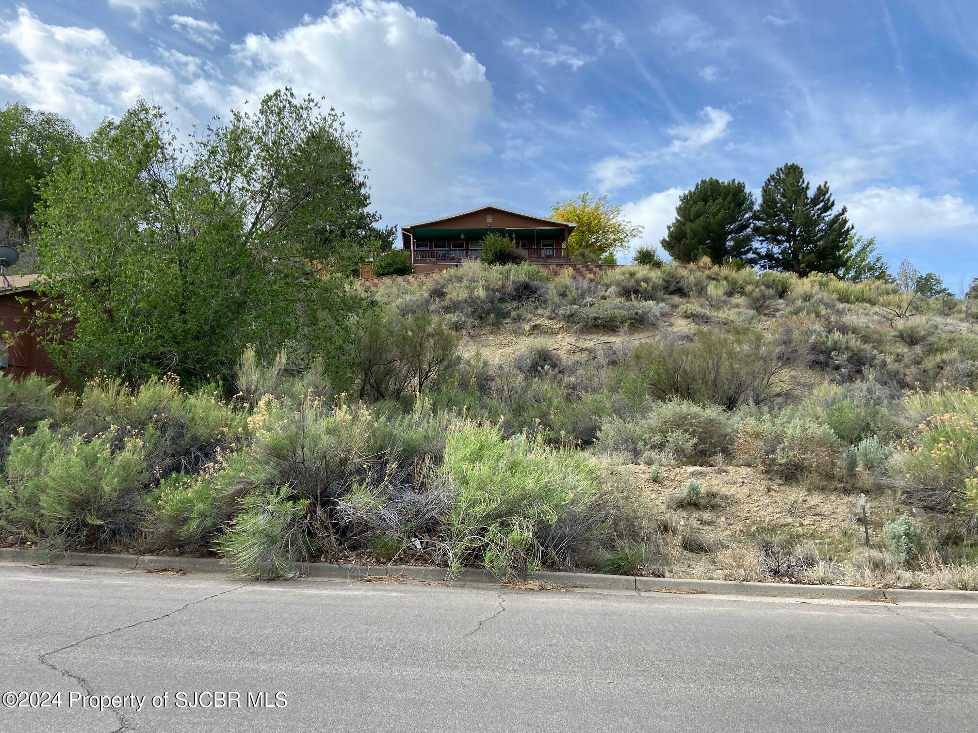 Property Photo: Lot7 Lot A W 24th Street NM 87401