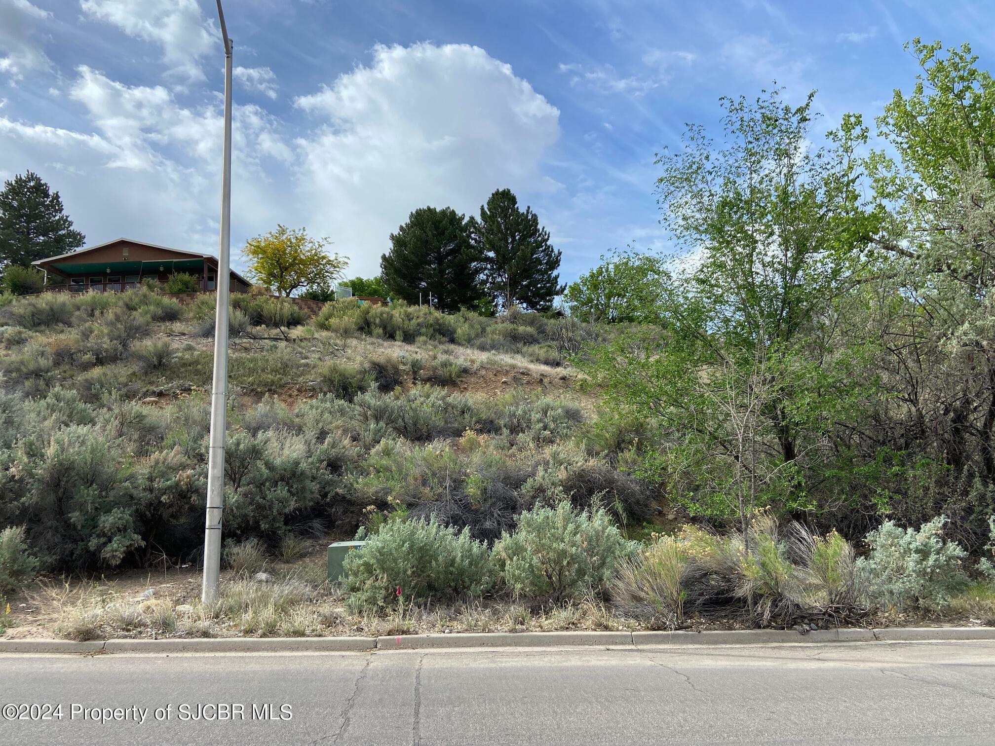 Property Photo:  Lot  4xx W 24th Street  NM 87401 