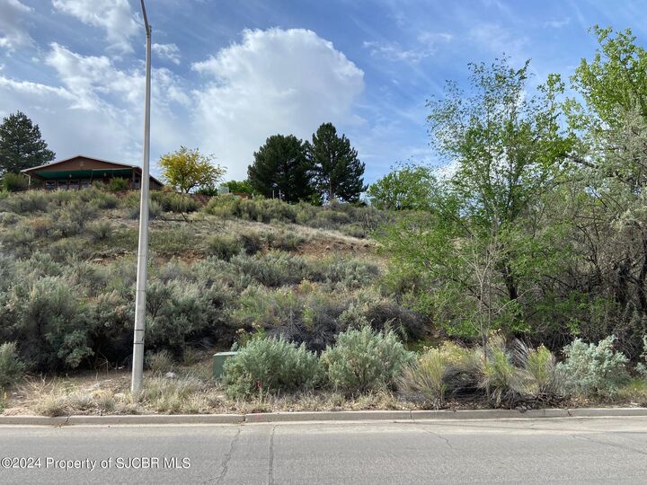 Property Photo: Lot 4 Xx W 24th Street NM 87401