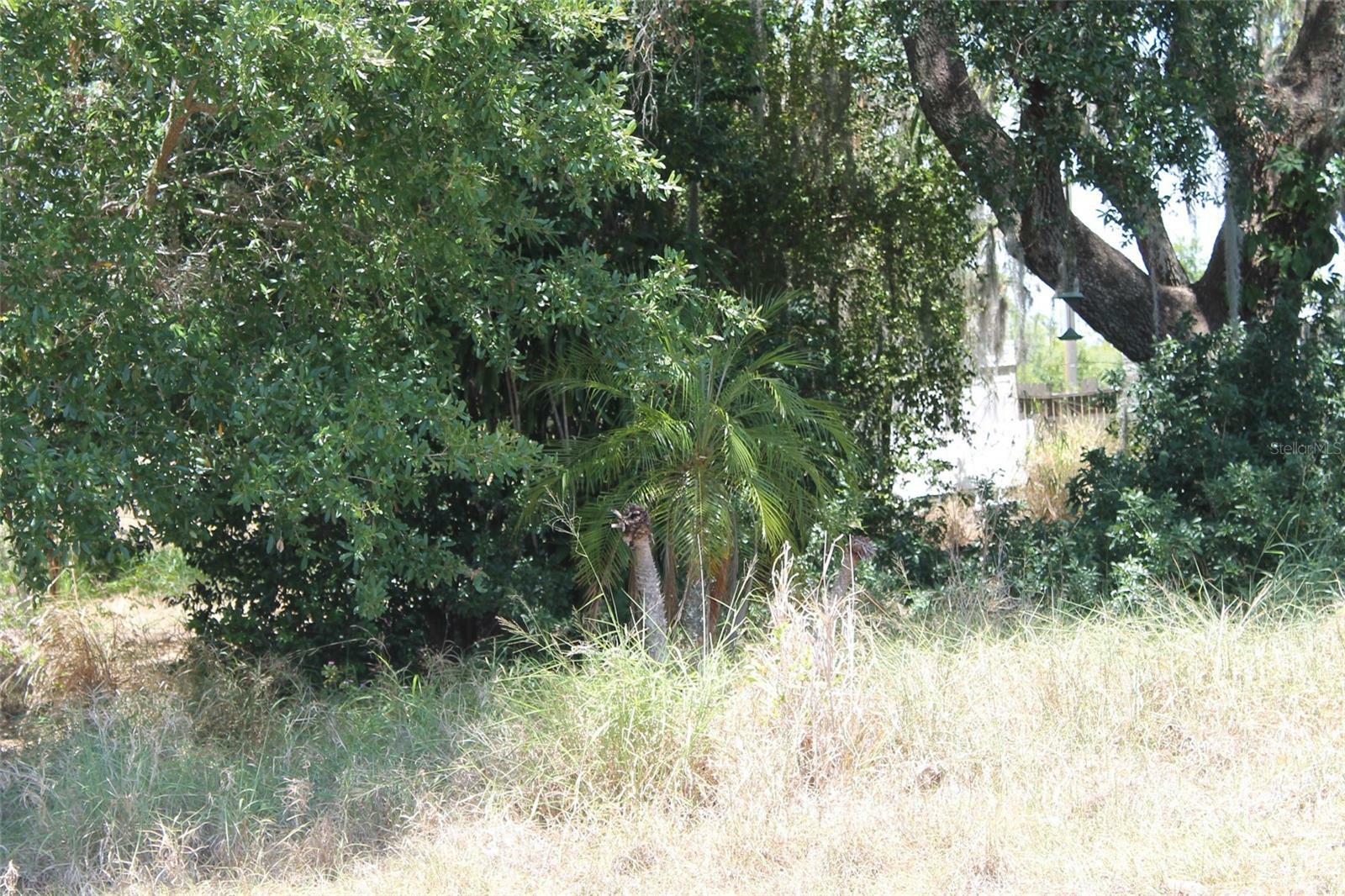 Property Photo: 0 Sunset Trail FL 33827