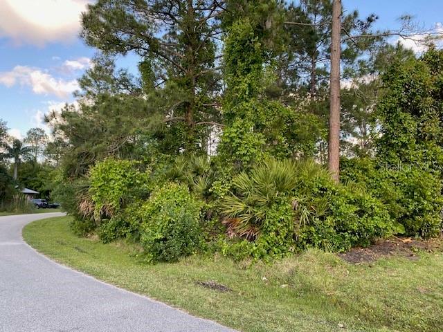 Property Photo:  12 White Deer Lane  FL 32164 