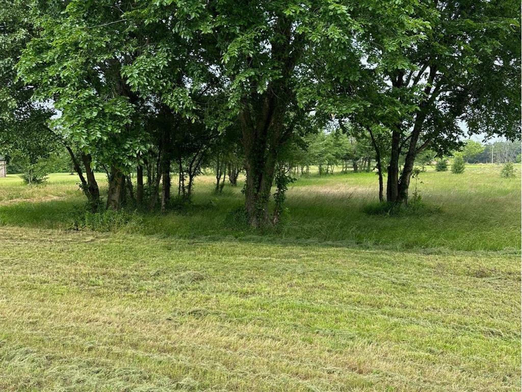 Property Photo: 2421 S Fm 131 TX 75020