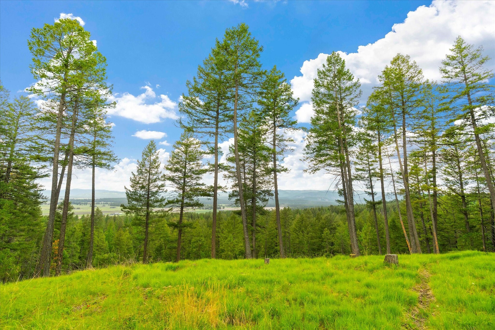 Property Photo:  1624 Whitefish Ranch Road  MT 59937 