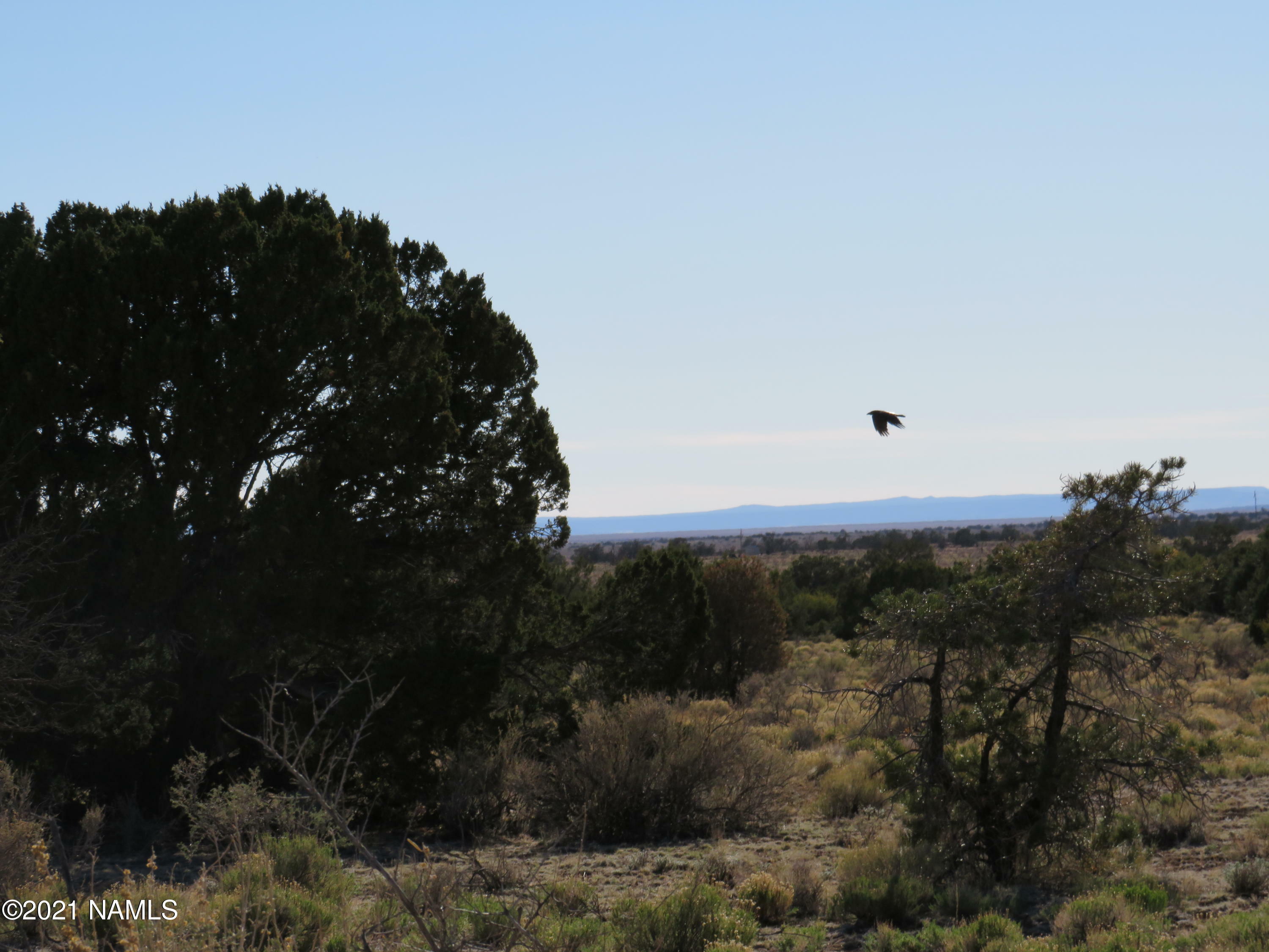 Property Photo:  2150 Red Butte Road  AZ 86046 