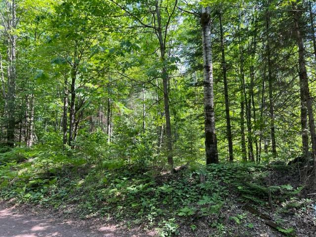 Property Photo:  Lot F Oestreich Rd  WI 54547 