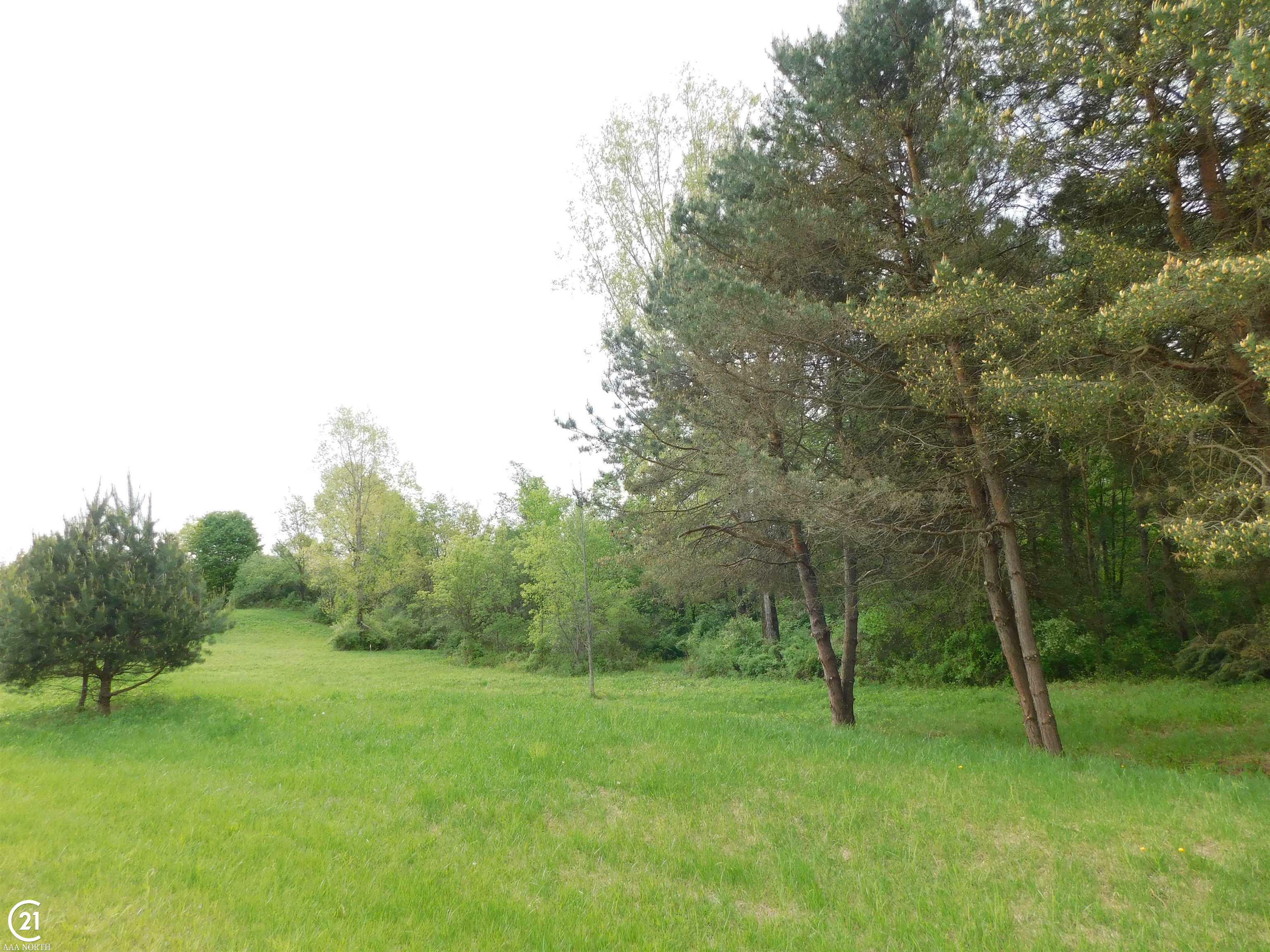 Property Photo: 0 Silver Hill Parcel 1 Drive MI 48428