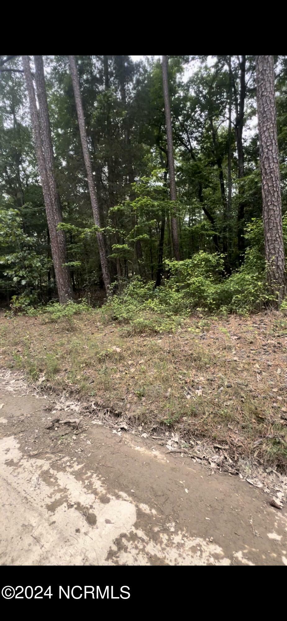 Property Photo:  Lot 23 Cedar Lane  NC 27242 