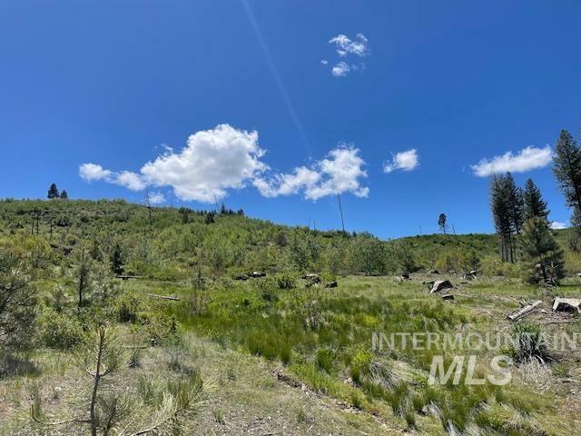 Lot 2 &Amp 3 Lester Creek Road  Pine ID 83647 photo