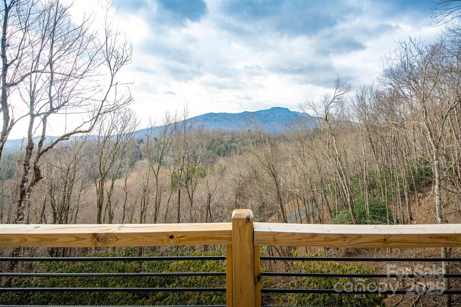 Property Photo:  366 Telemark Lane  NC 28604 