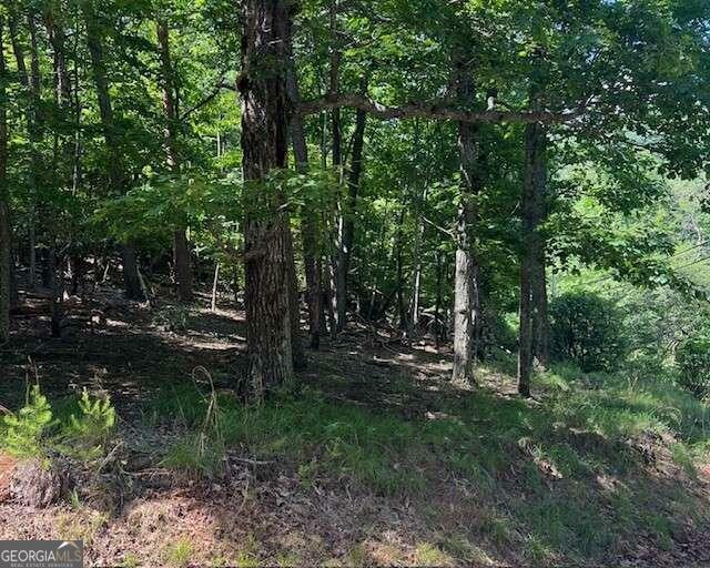 Property Photo:  1121 Oglethorpe Mountain Road  GA 30143 