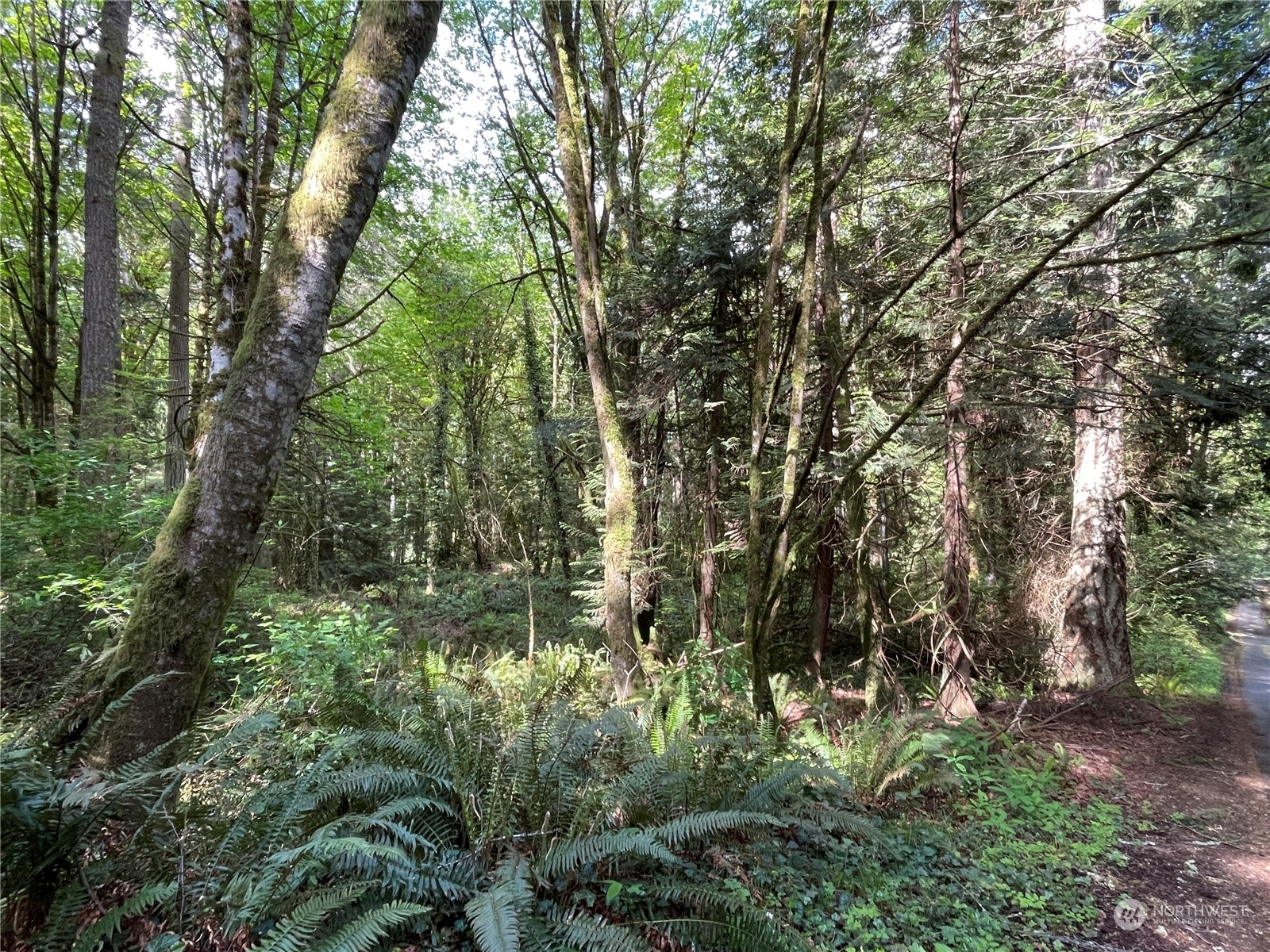 Property Photo:  0 Lot 3 NE Sanwick Place  WA 98110 