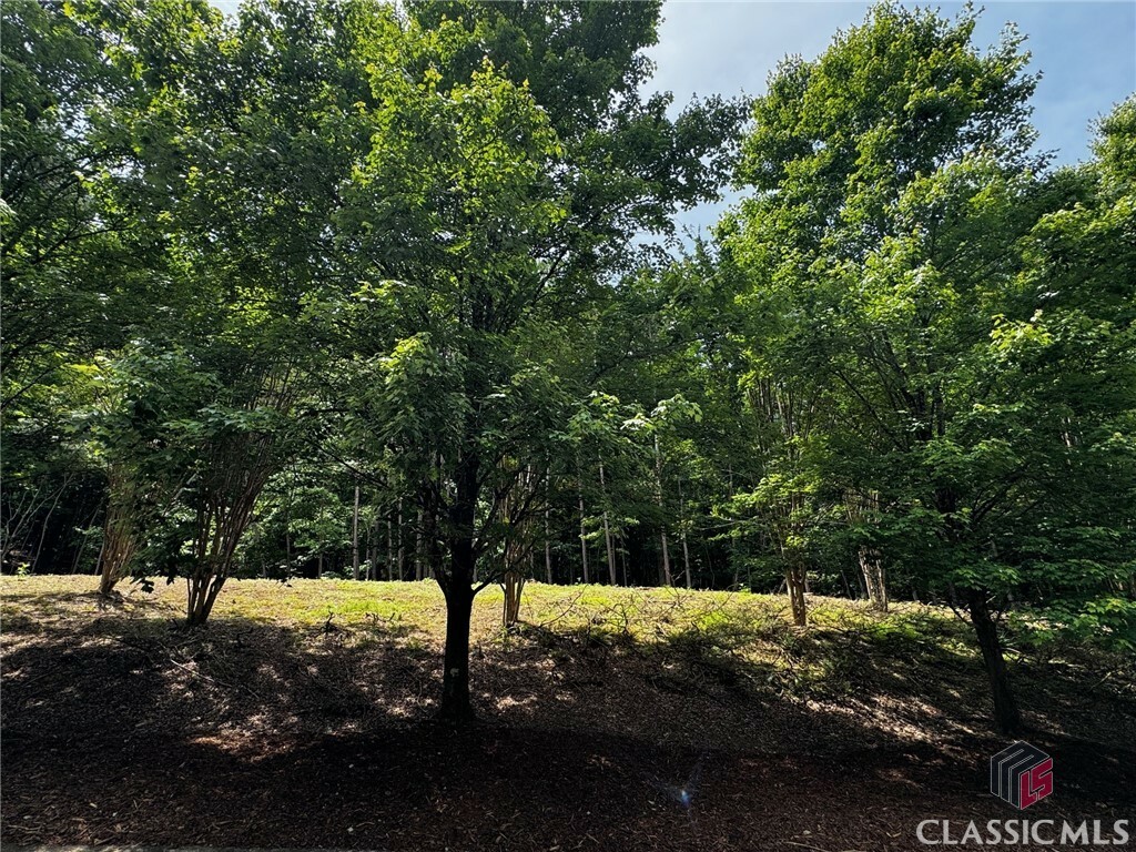 Property Photo:  680 Mitchell Bridge Road Tract 2  GA 30606 