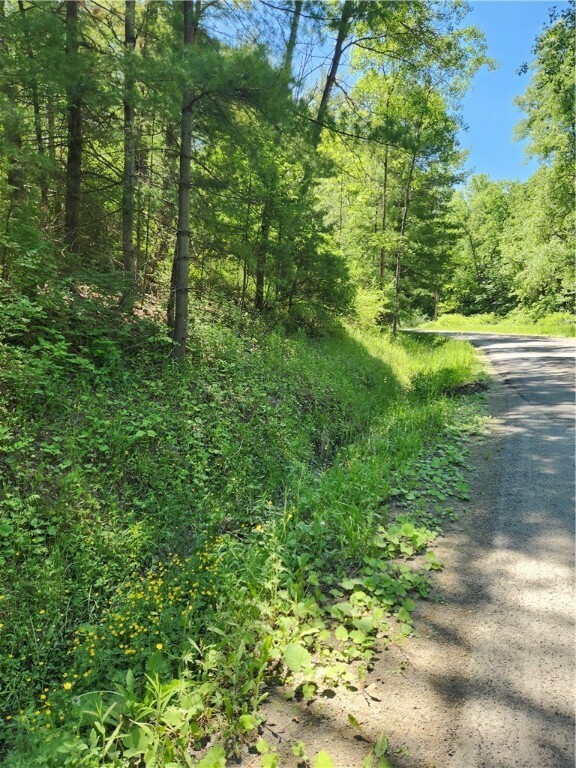 Property Photo:  0 Sand Pit Road  NY 14810 