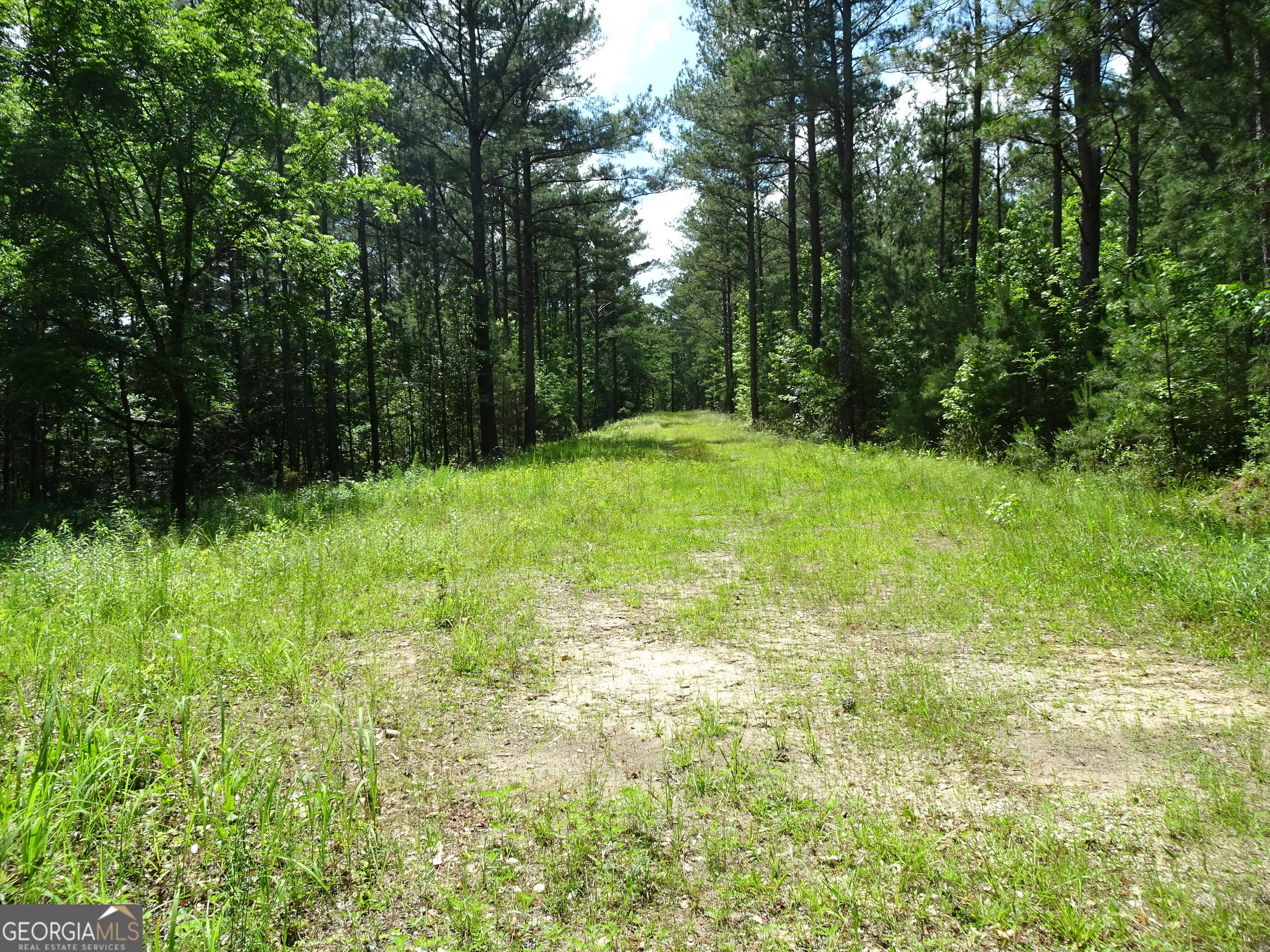 Property Photo:  60+ Ac Byrd And Townley Road  GA 30054 