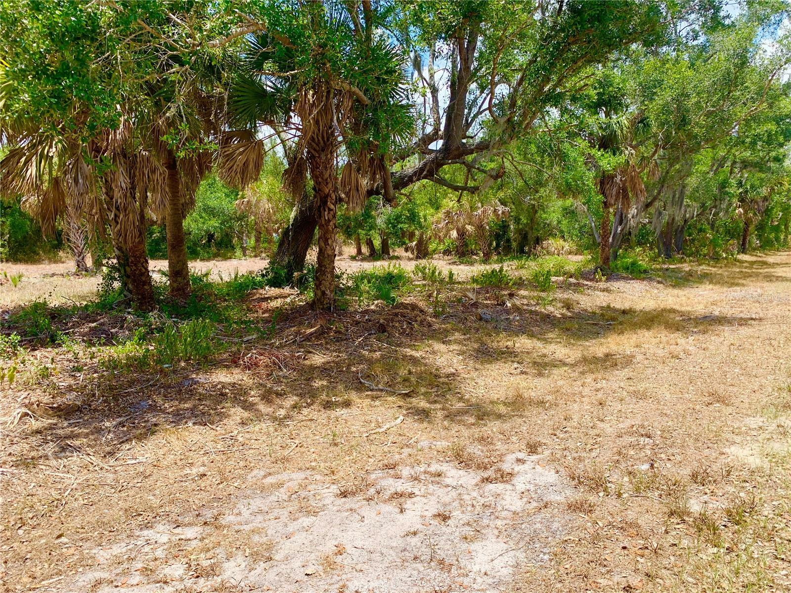 Property Photo: 481 Admiral Street FL 33954