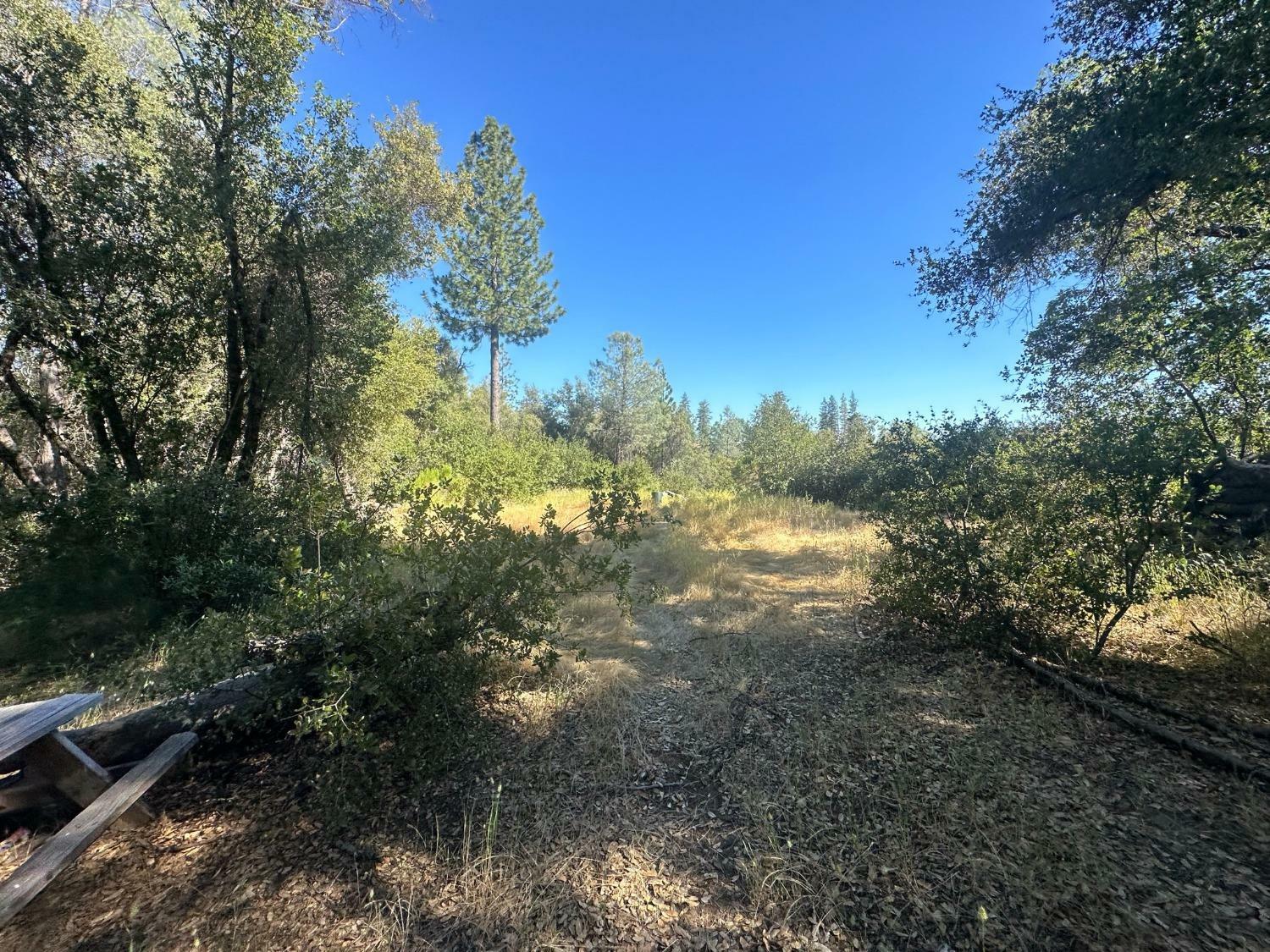 Property Photo:  12717 Armstrong Road  CA 95246 