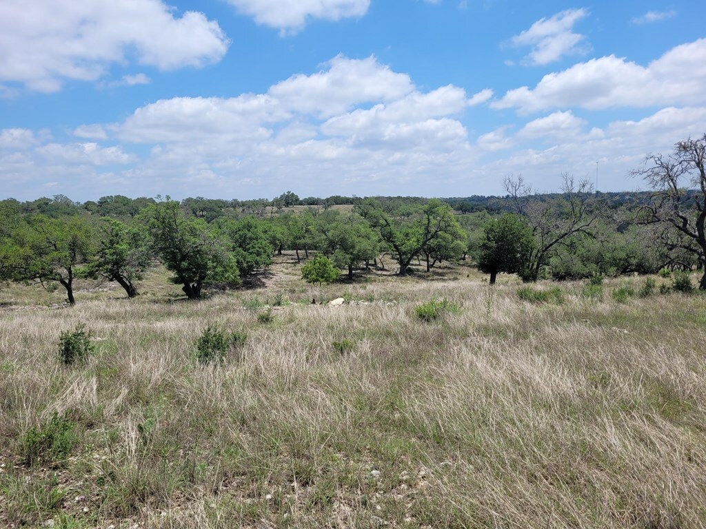 Property Photo:  0019 Mayers Ridge Dr  TX 78028 