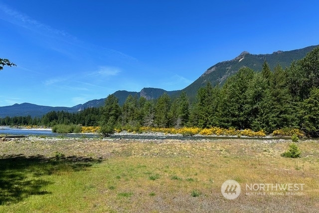 Property Photo:  197 Timberline Drive W  WA 98361 