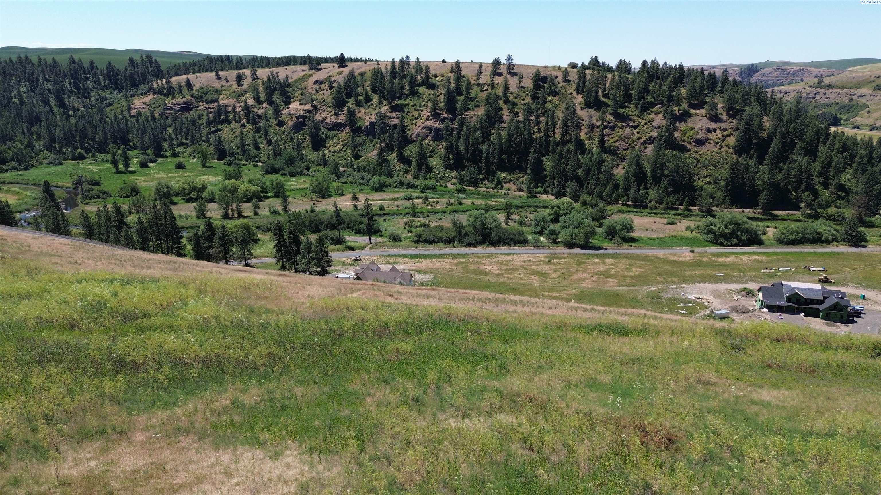 Property Photo:  Lot 32 Red Tail Ridge  WA 99111 