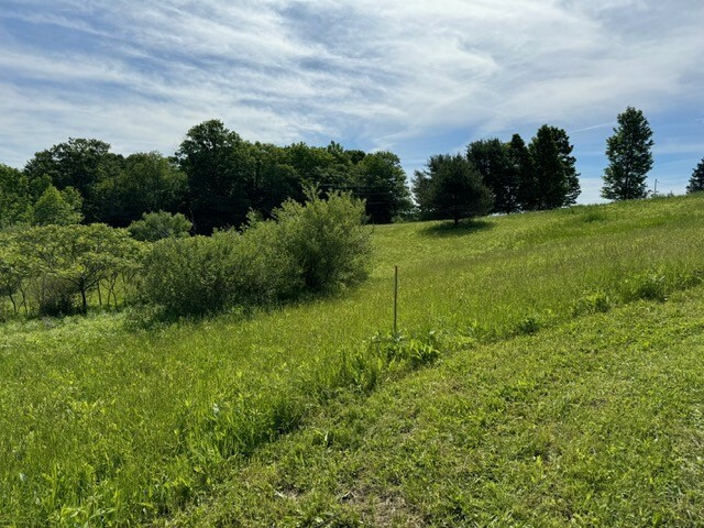 Property Photo:  9200 Cnty Rt 46 Road  NY 14807 