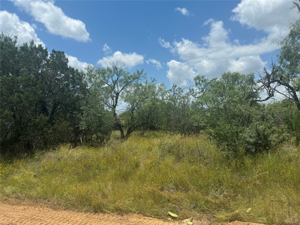 Property Photo:  Lot 249 Cactus Trail  TX 78639 