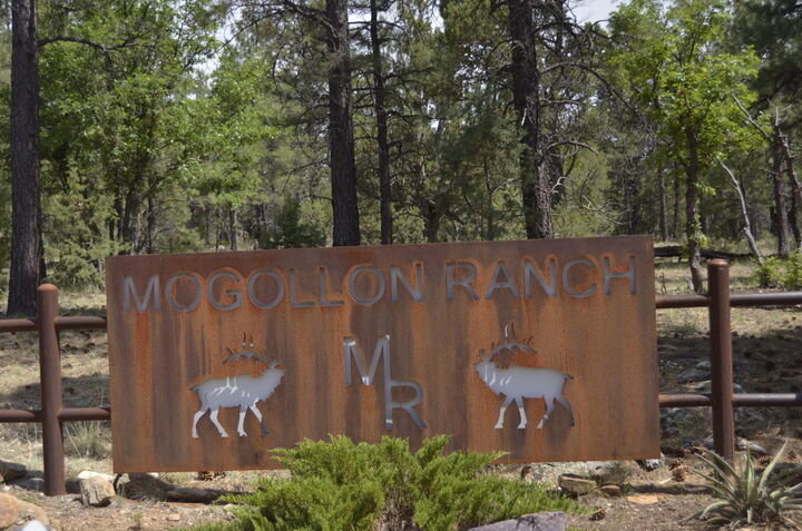 6663 Mogollon Trail  Happy Jack AZ 86024 photo