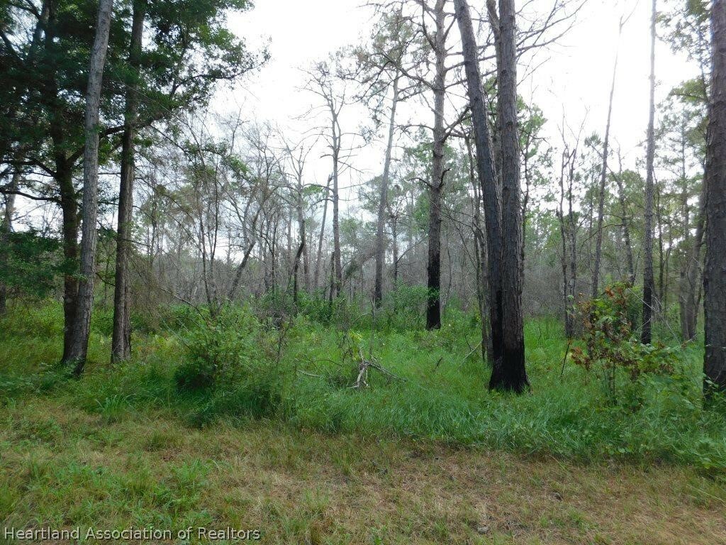 Property Photo:  1728 S Gabriel Road  FL 33825 