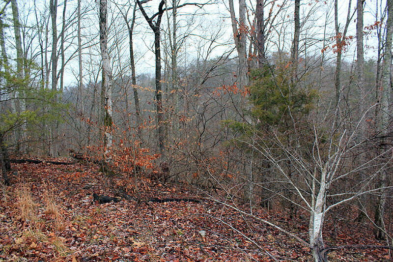 Property Photo:  Lot 76 Sandstone Point  KY 42633 