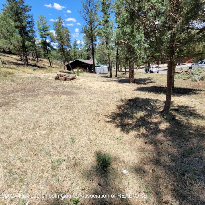 Property Photo: 206 Marble Drive NM 88345